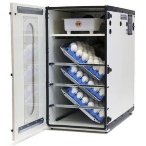 Cabinet Incubator