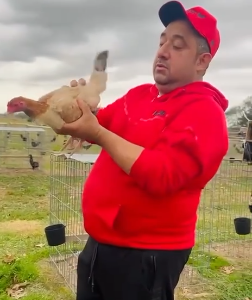 Yellow leg sweater $600