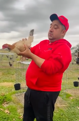 Yellow leg sweater $600